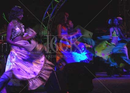 Copyright Andrew Bock. All rights protected.