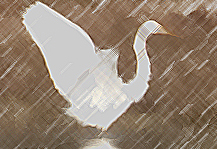 Copyright Andrew Bock. All rights protected.